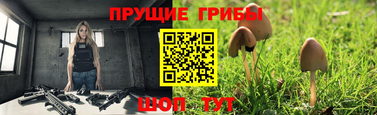 Псилоцибиновые грибы ЛСД Новозыбков