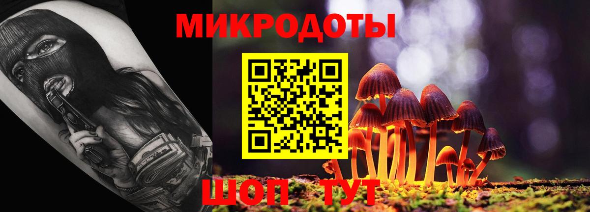 Псилоцибиновые грибы Psilocybine cubensis  Вход с VPN  Новозыбков  Галлюциногенные грибы Psilocybe 
